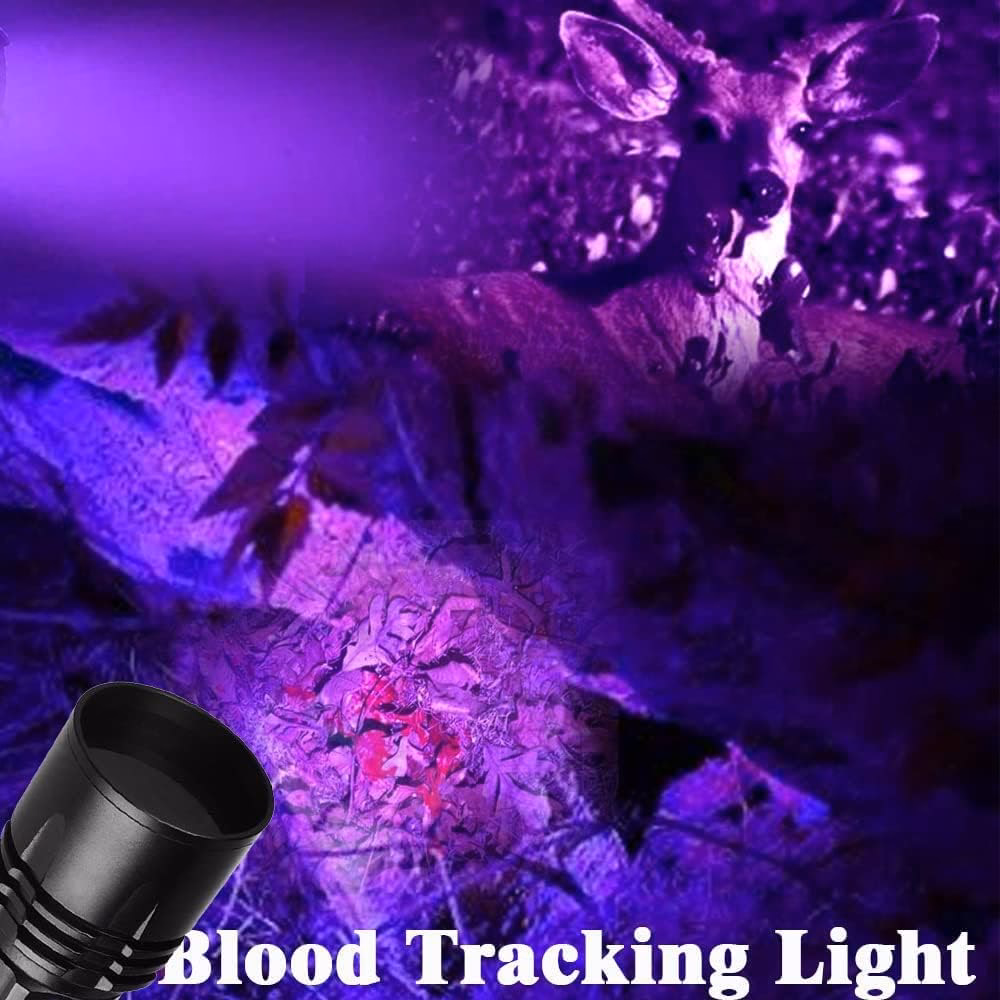 When is Bloodlight release date?