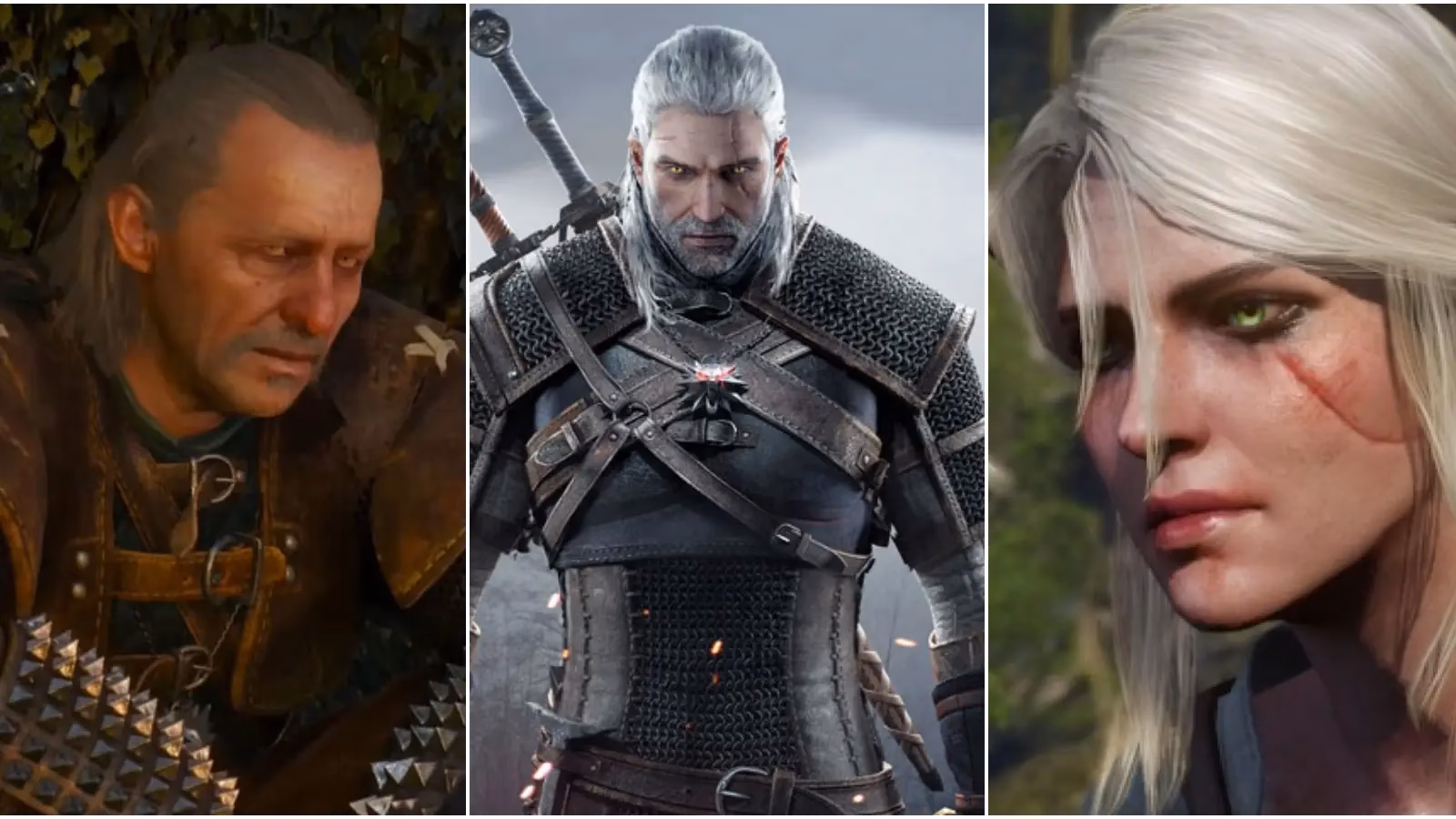 What is 'blood on the battlefield' in Witcher 3?