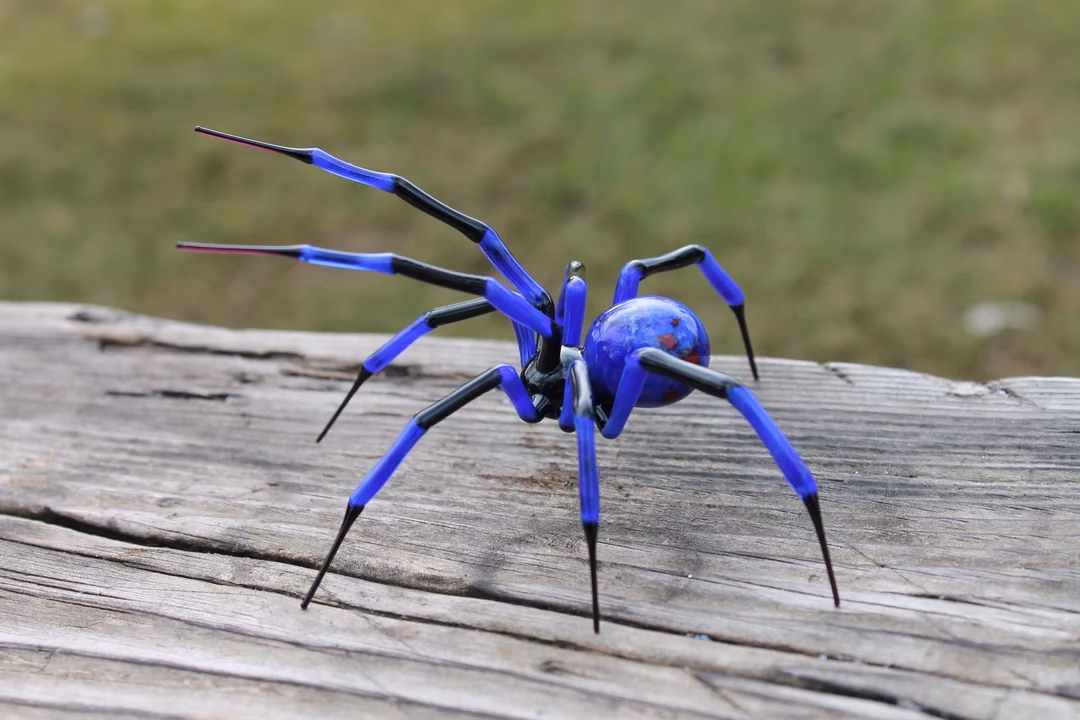 What is a Brazilian blue tarantula?