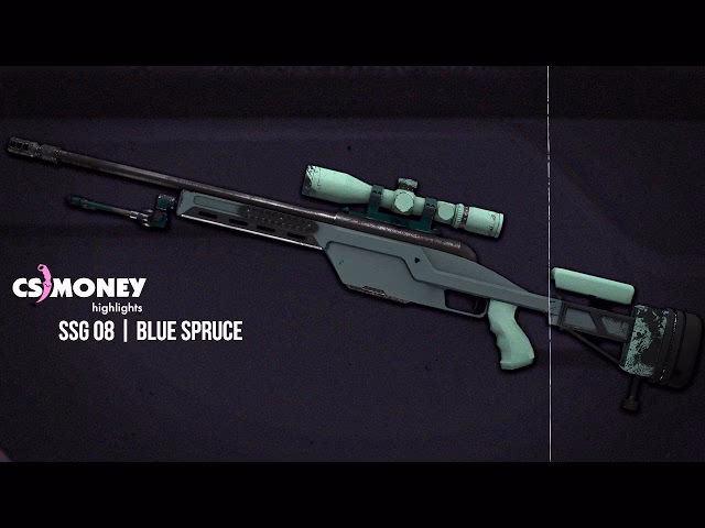 How much is the SSG 08 blue spruce?