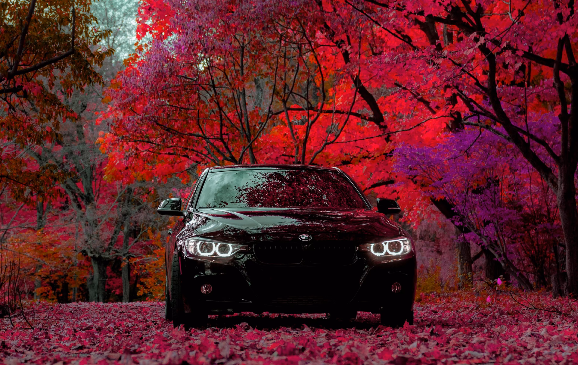 How many 4K BMW wallpapers are there?