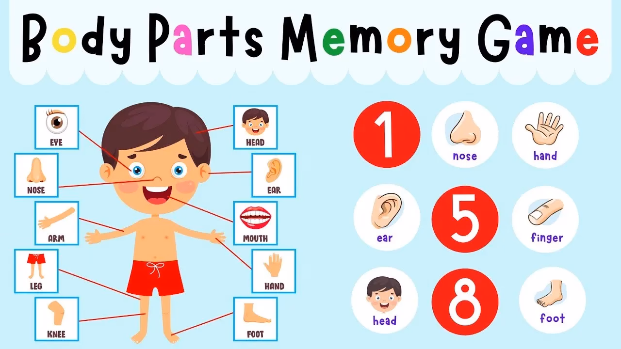 What is the Halloween body parts game?