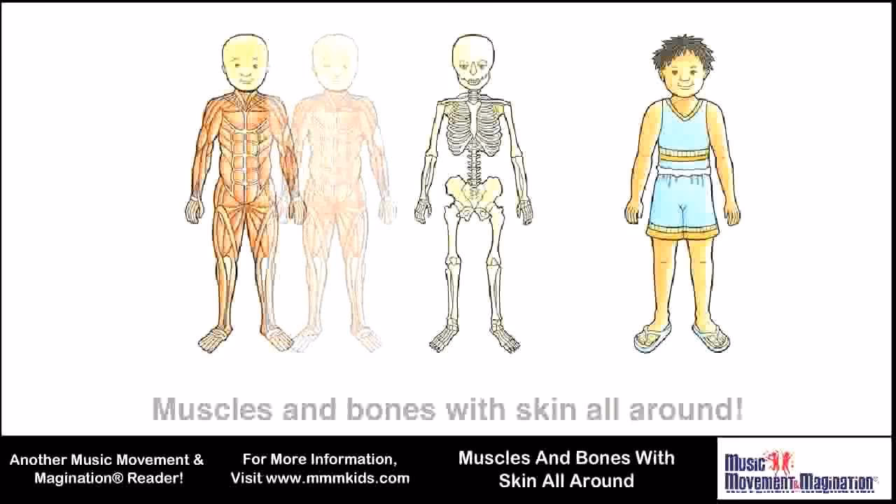 Does skin aging cause bone loss?