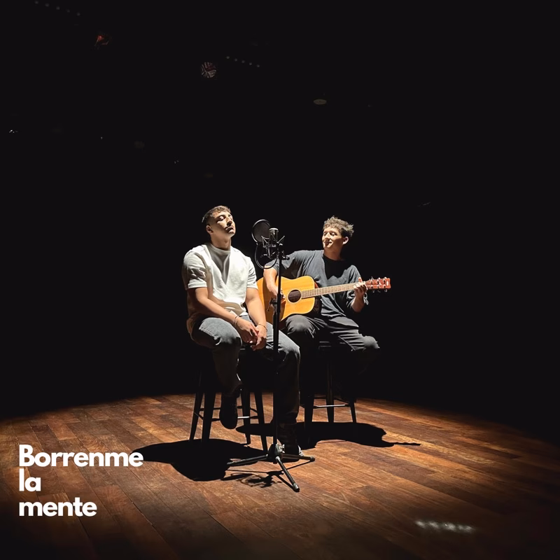¿Qué es un borrén?