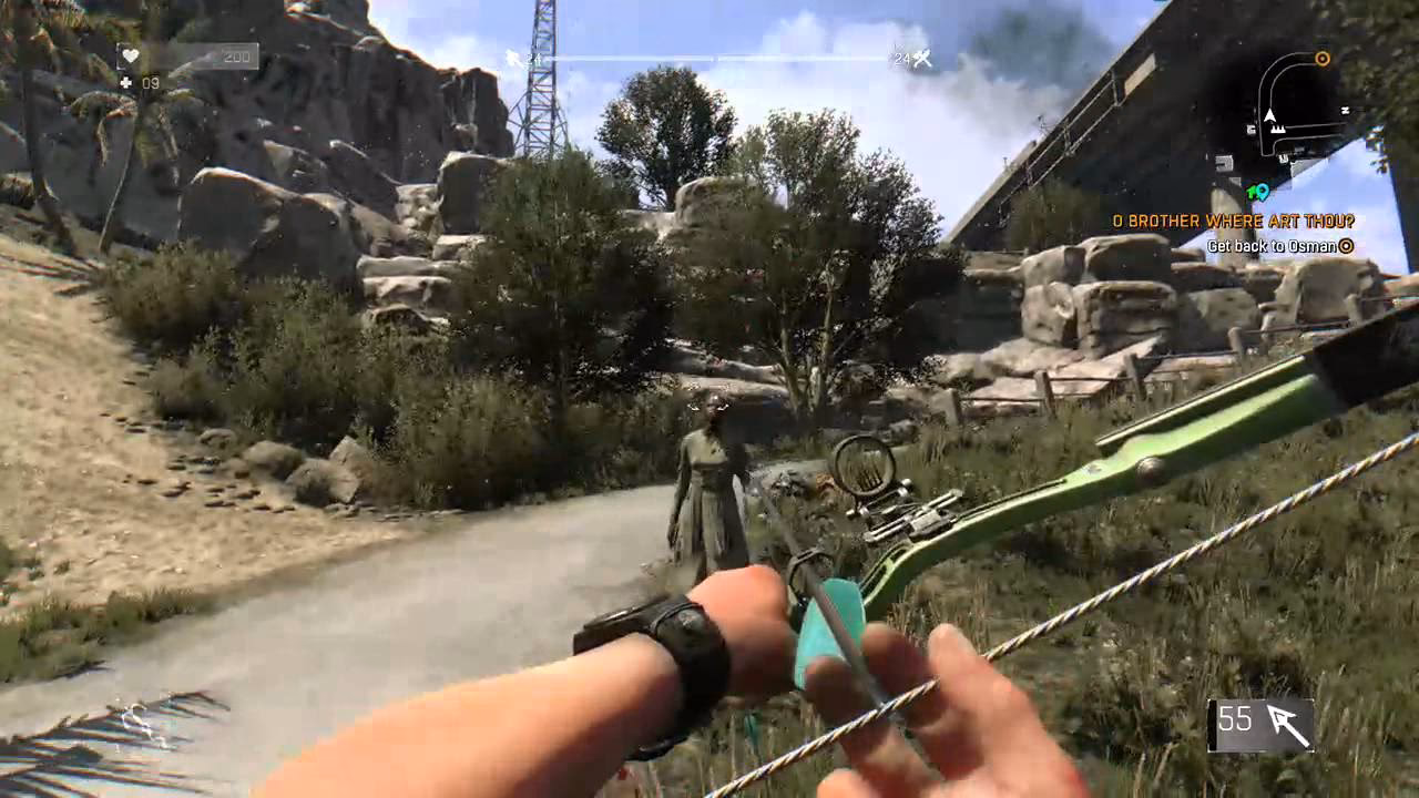 How do you get a Bozak arrow in online co-op?