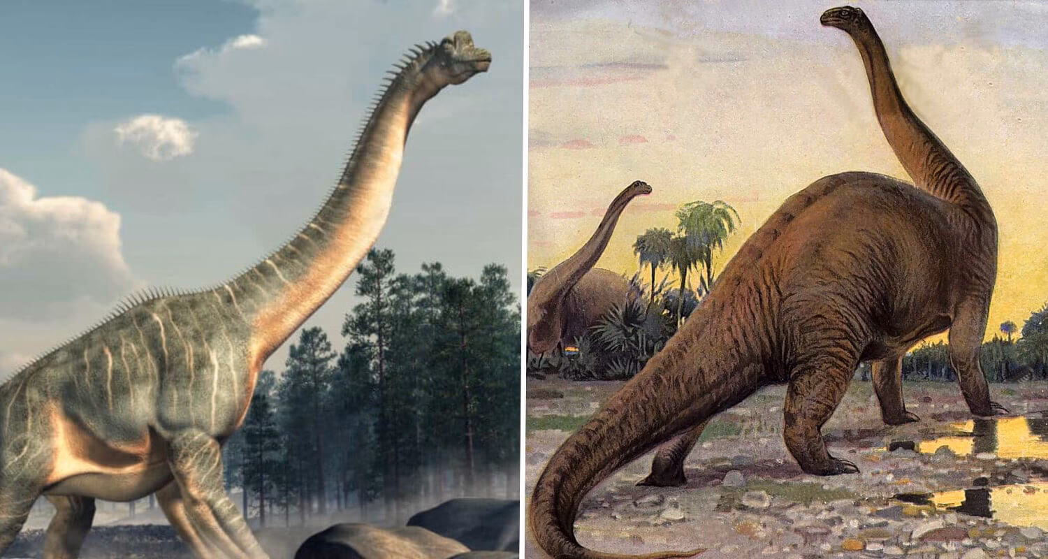 What does a Brachiosaurus look like?