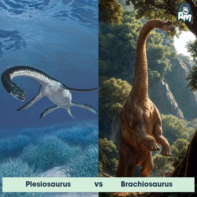 What does a Brachiosaurus look like?