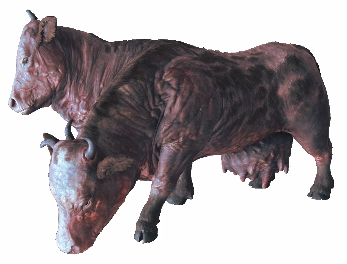 What is a Brahmin in Fallout 76?