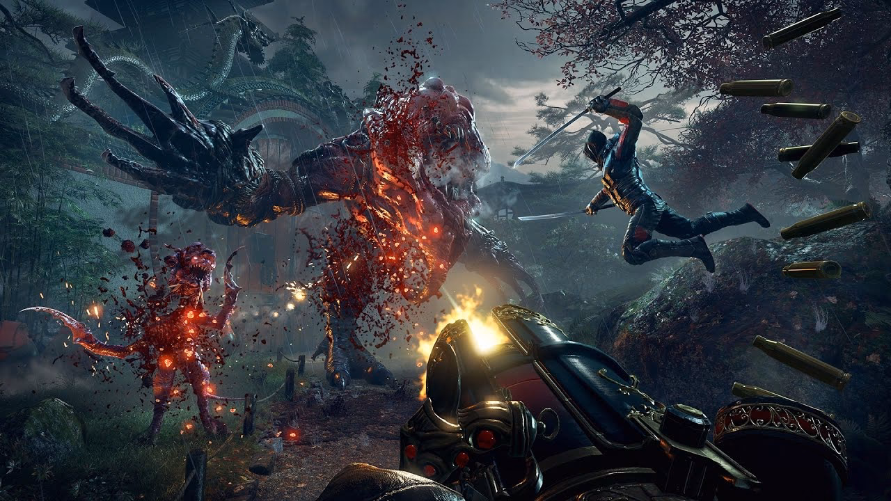 What is Shadow Warrior?
