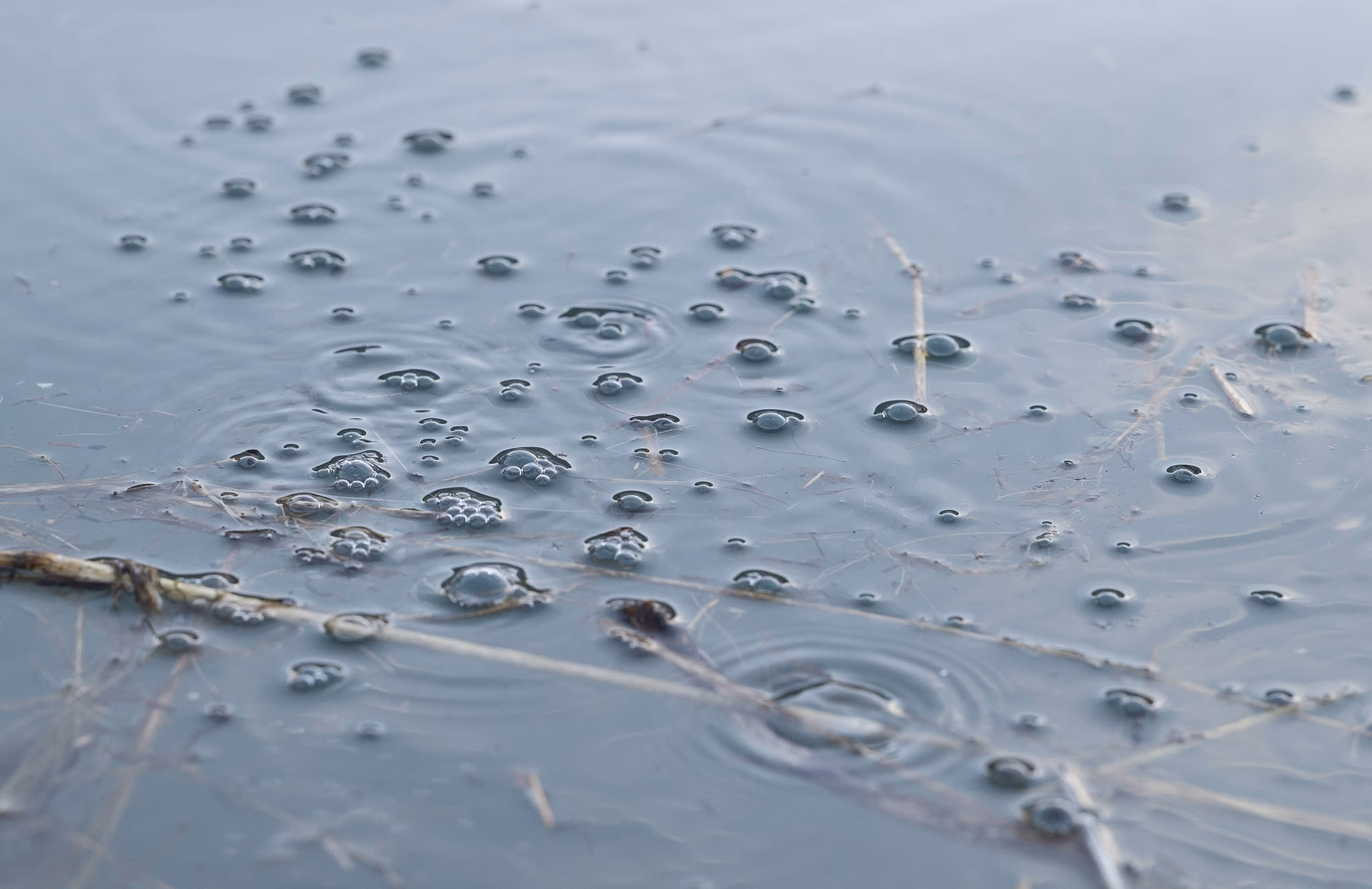 Why does a water bubble burst?
