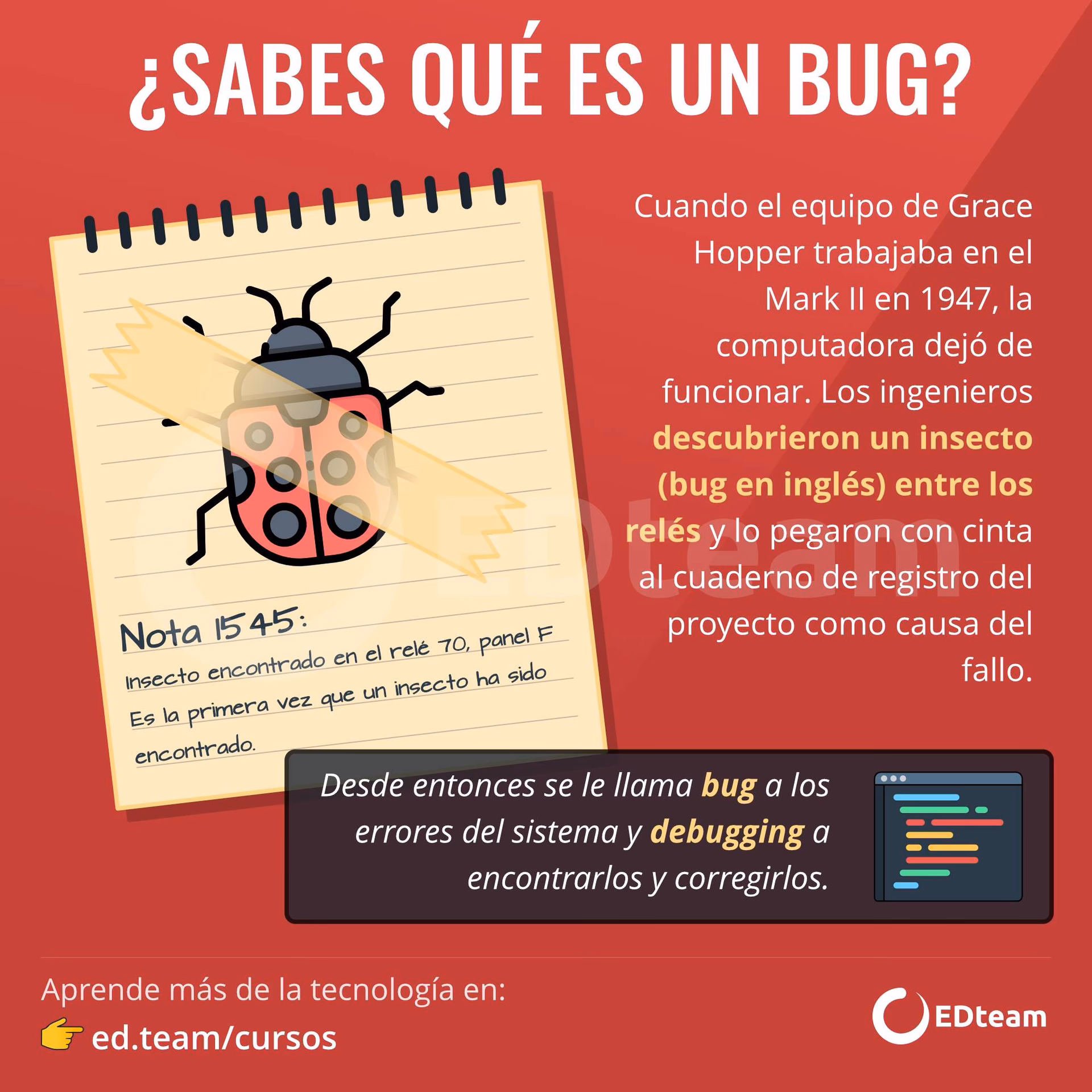 ¿Qué significa Bug en informática?