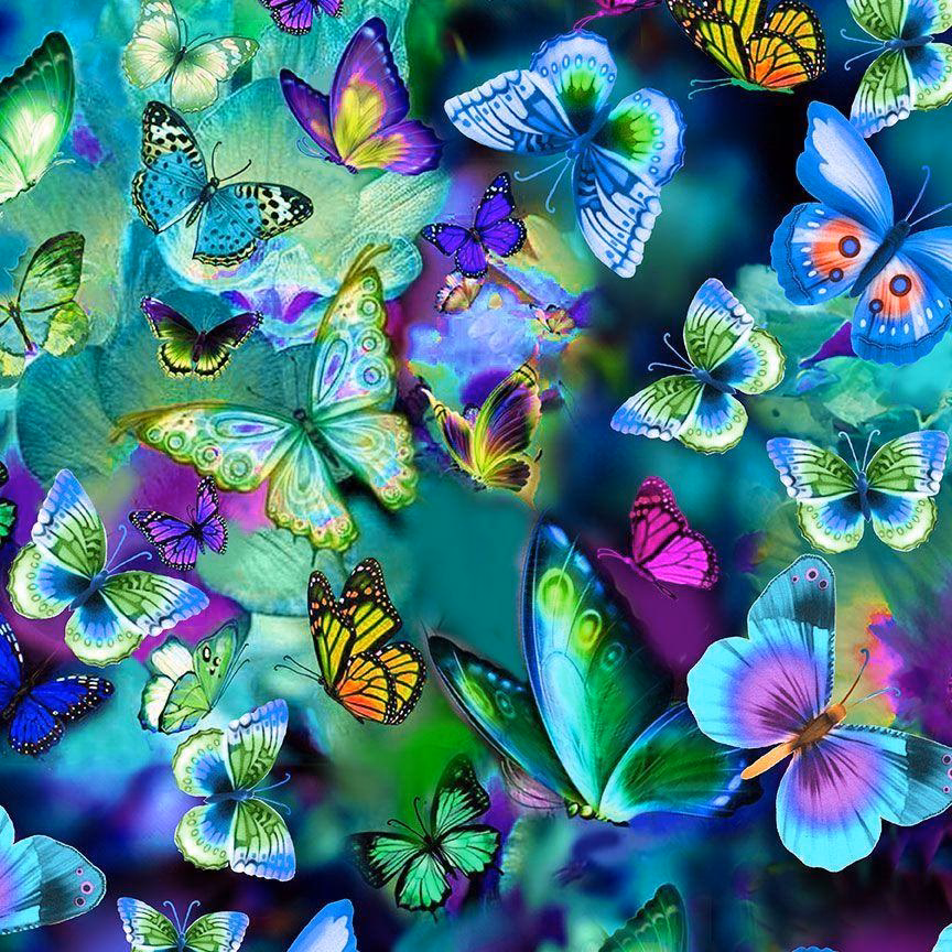 Is butterfly body bright a good resource?