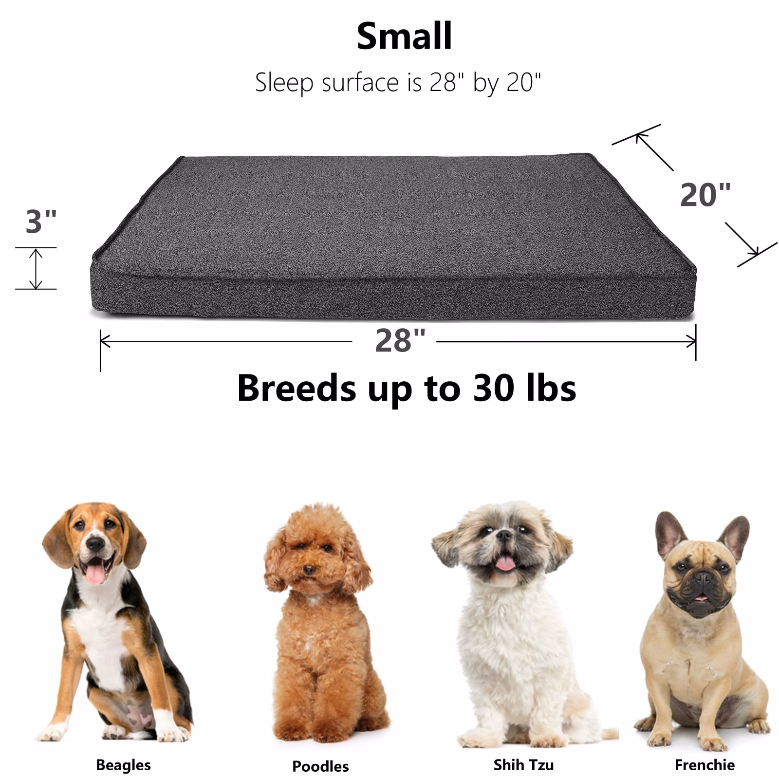 ¿Cómo escoger la mejor cama para tu perro?