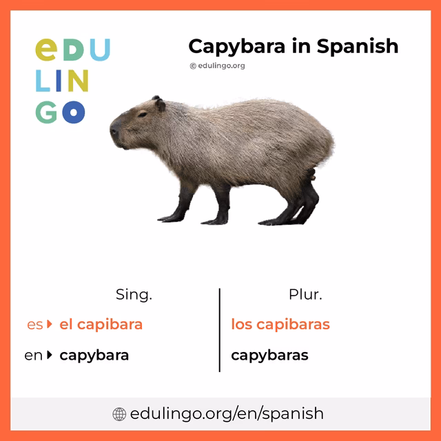 What does a capybara taste like?