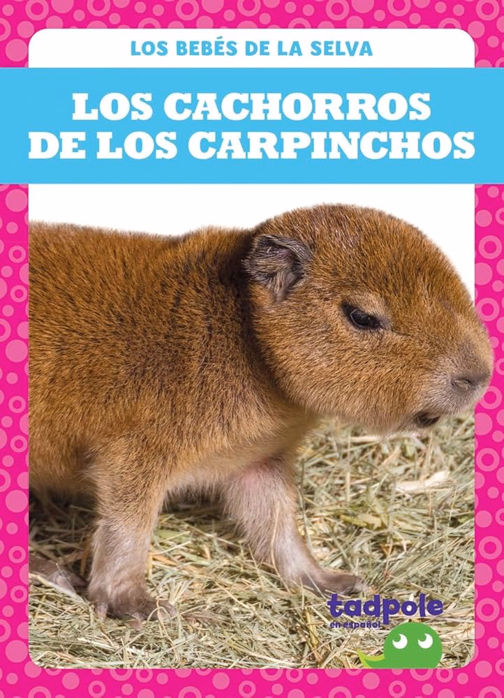 What is the Spanish name for a capybara?