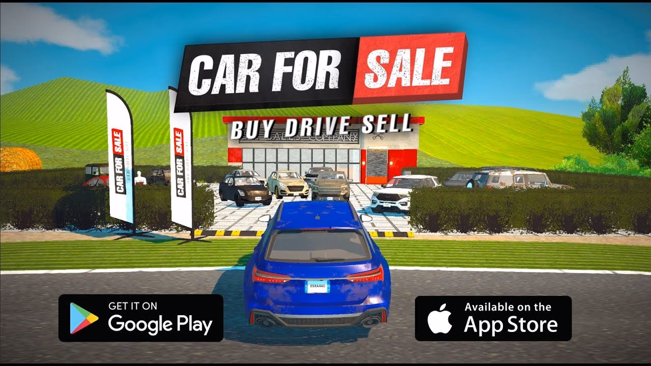 What is the Vehicle Simulator script?