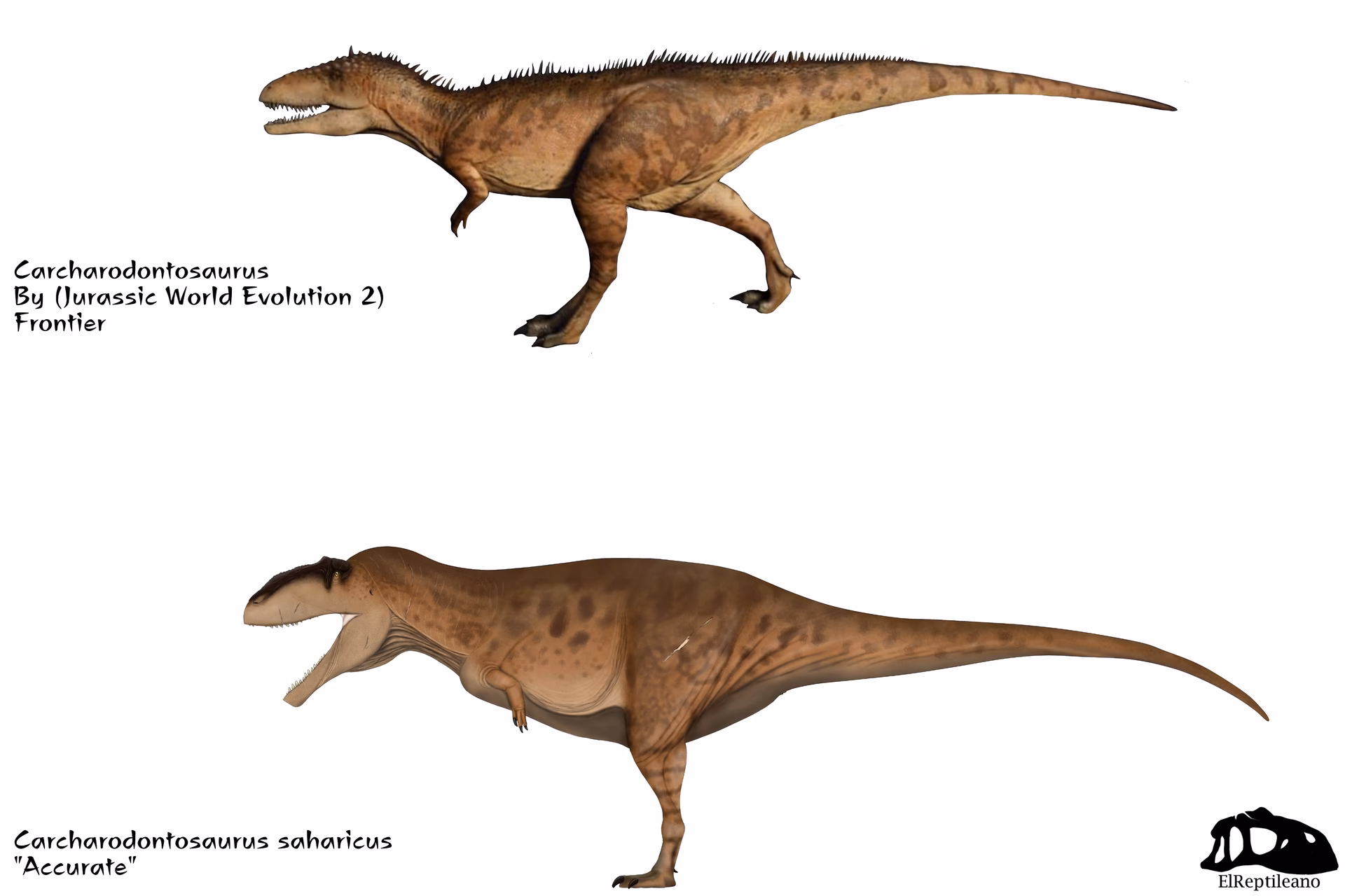 Is Carcharodontosaurus Africa's answer to Tyrannosaurus?