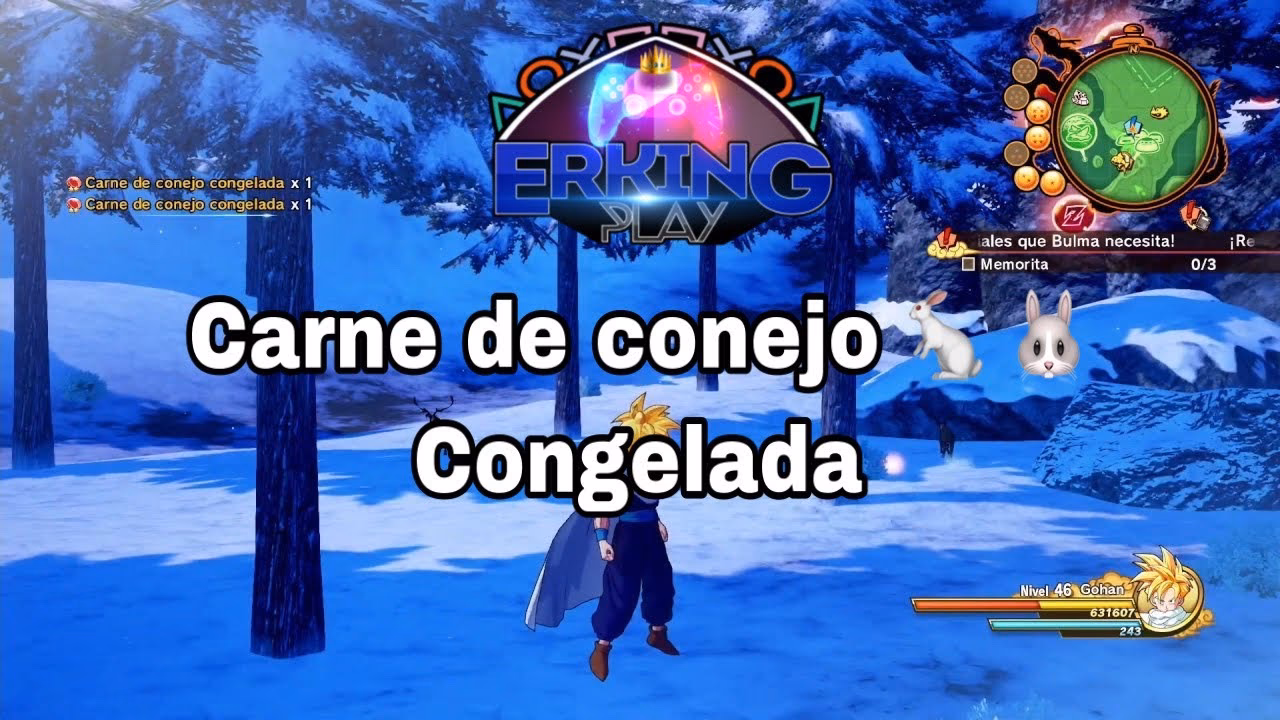 ¿Cómo comprar carne de conejo?