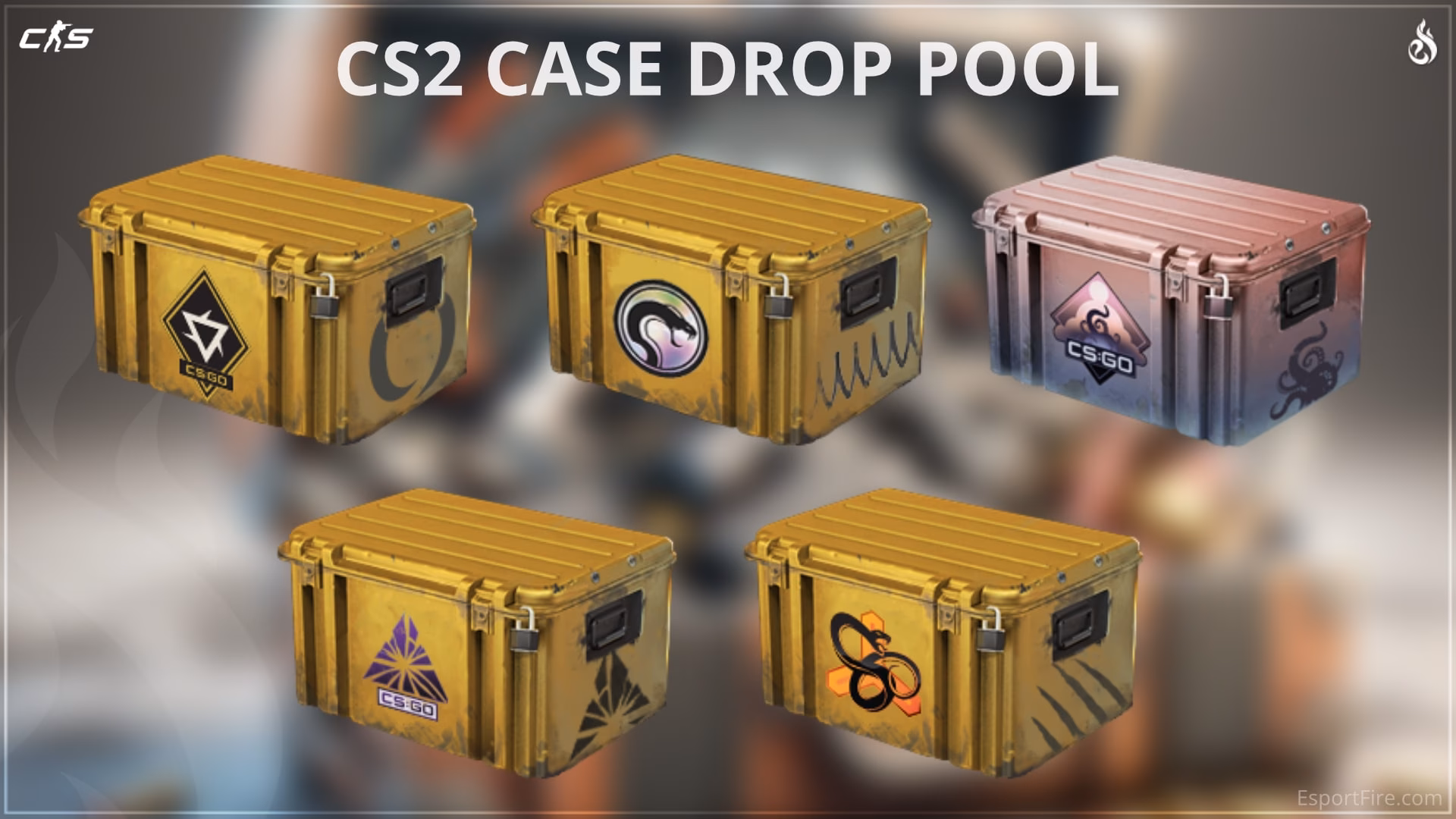 Where is Dropcases located?