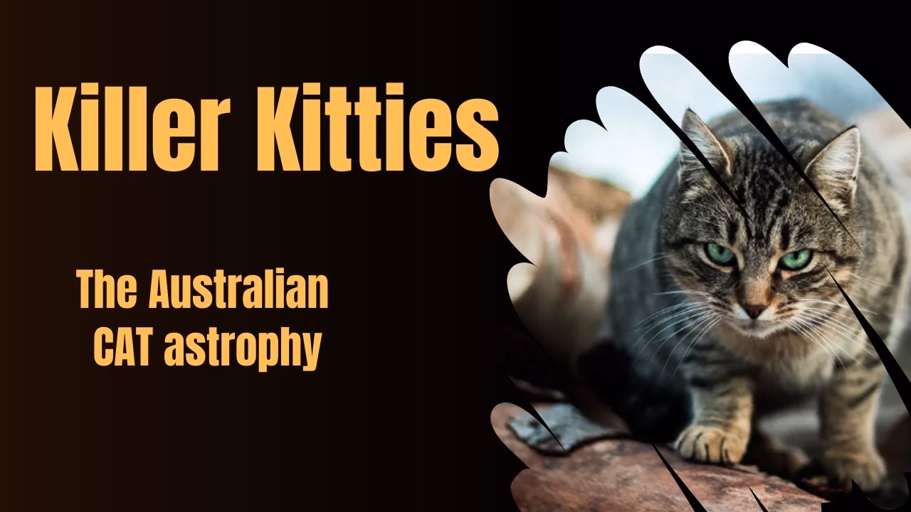 What's new in cat-astrophy?