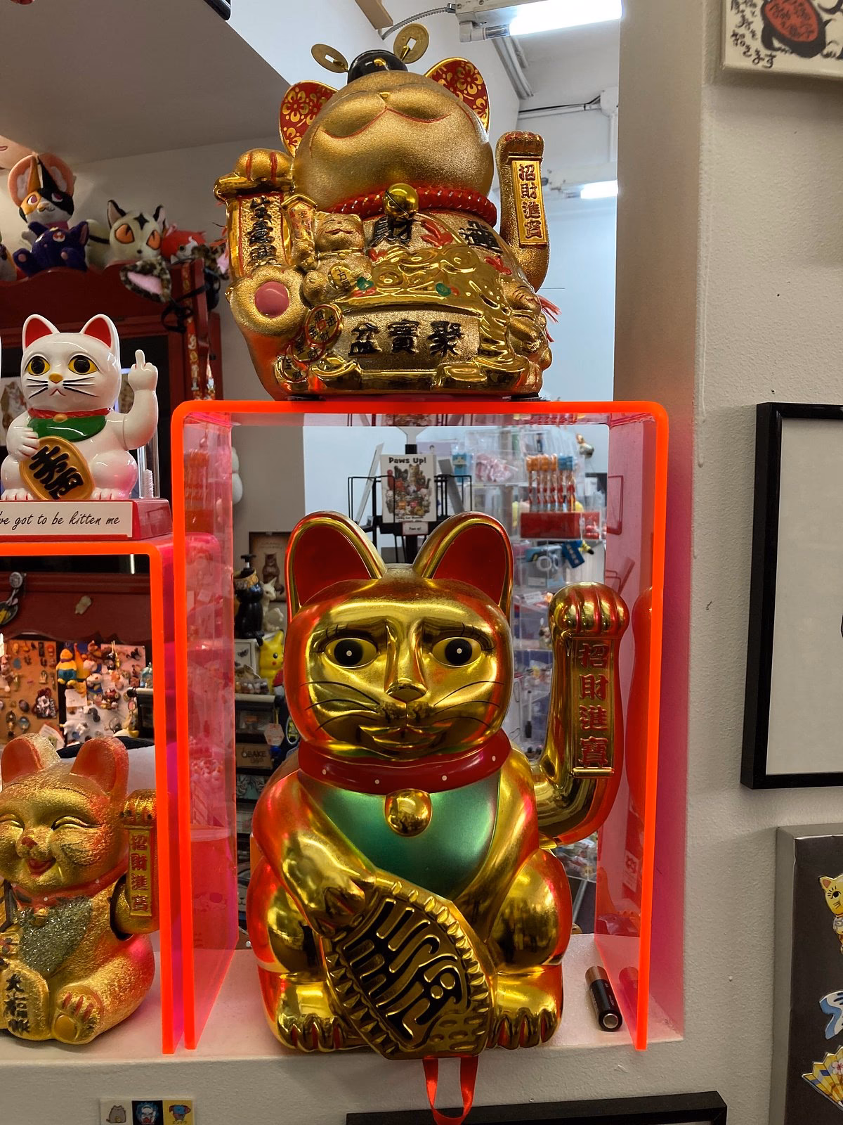 What is the Feline Historical Museum?