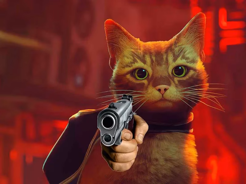 Where to download cat with gun GIFs for free?