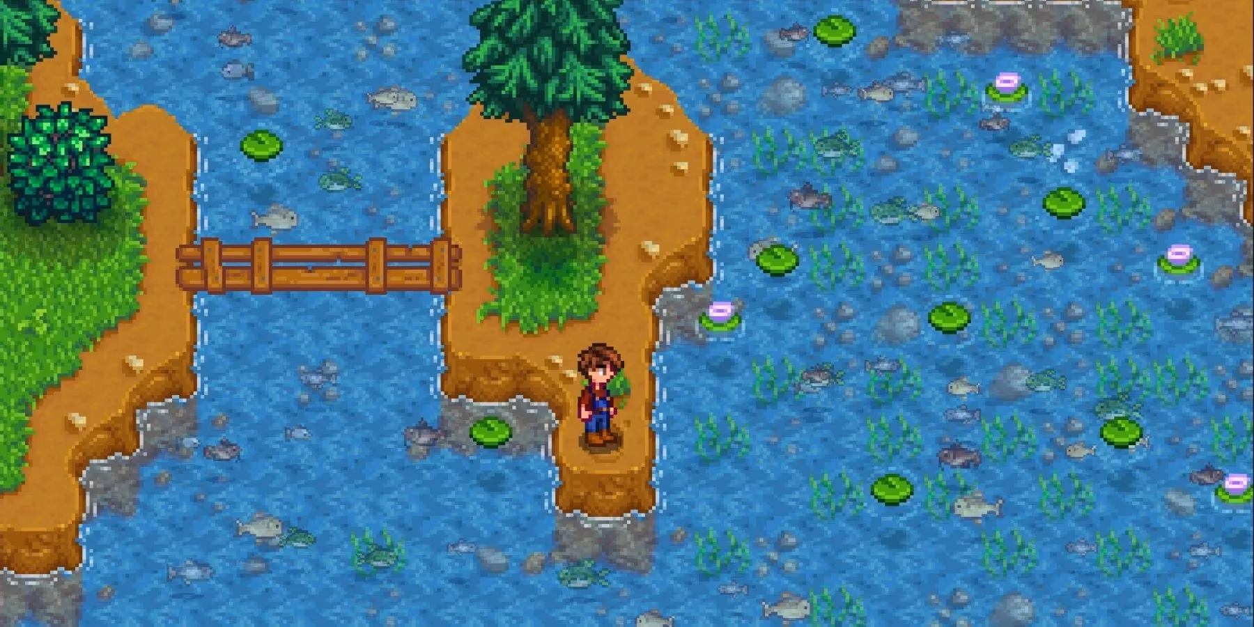 How much does a catfish cost In Stardew Valley?