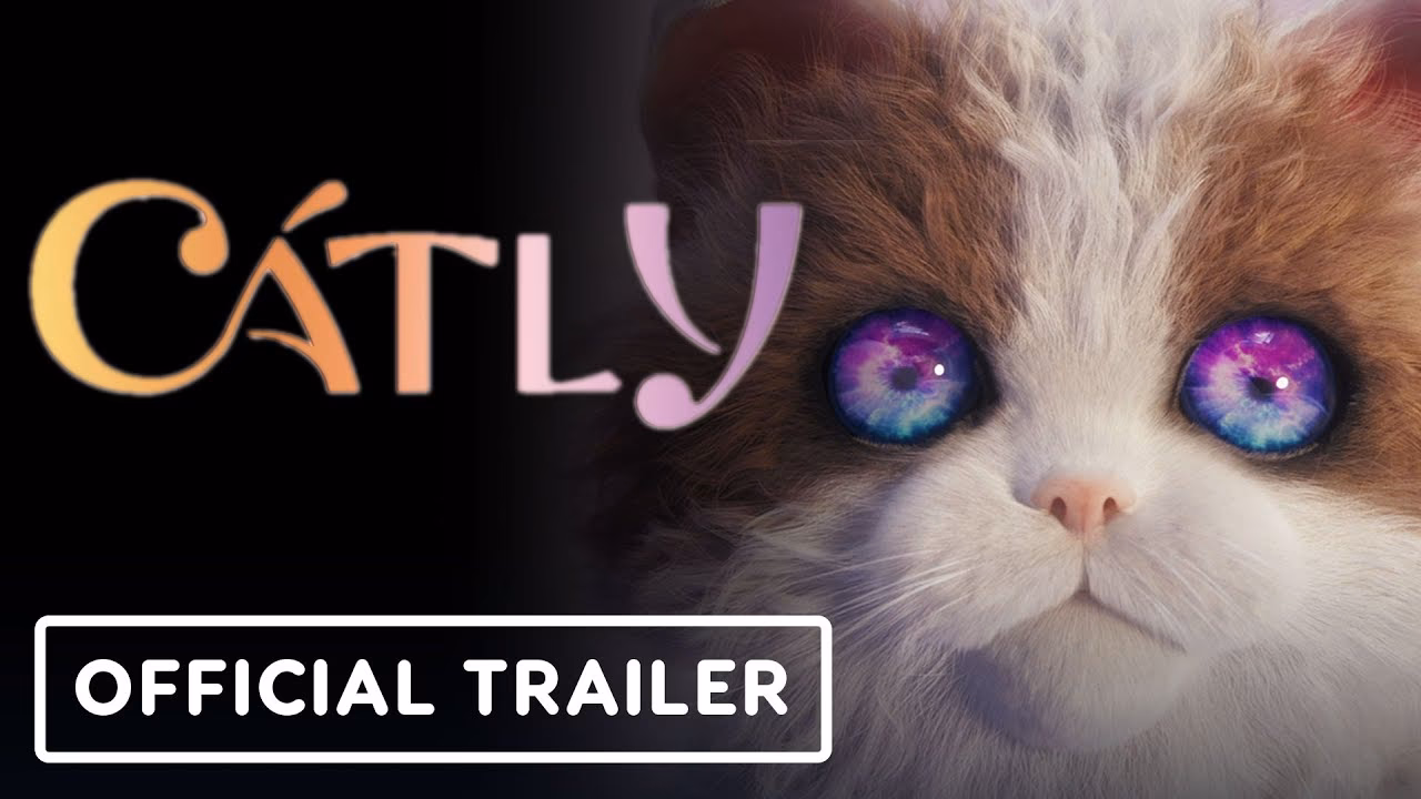 What are the features of catly World?