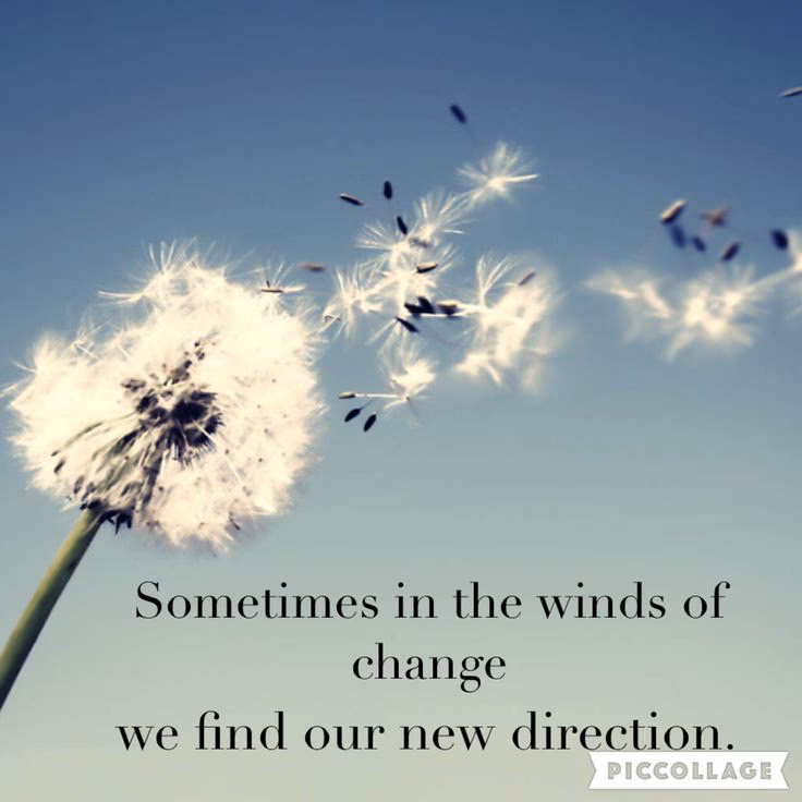 When does 'wind of change' come out?