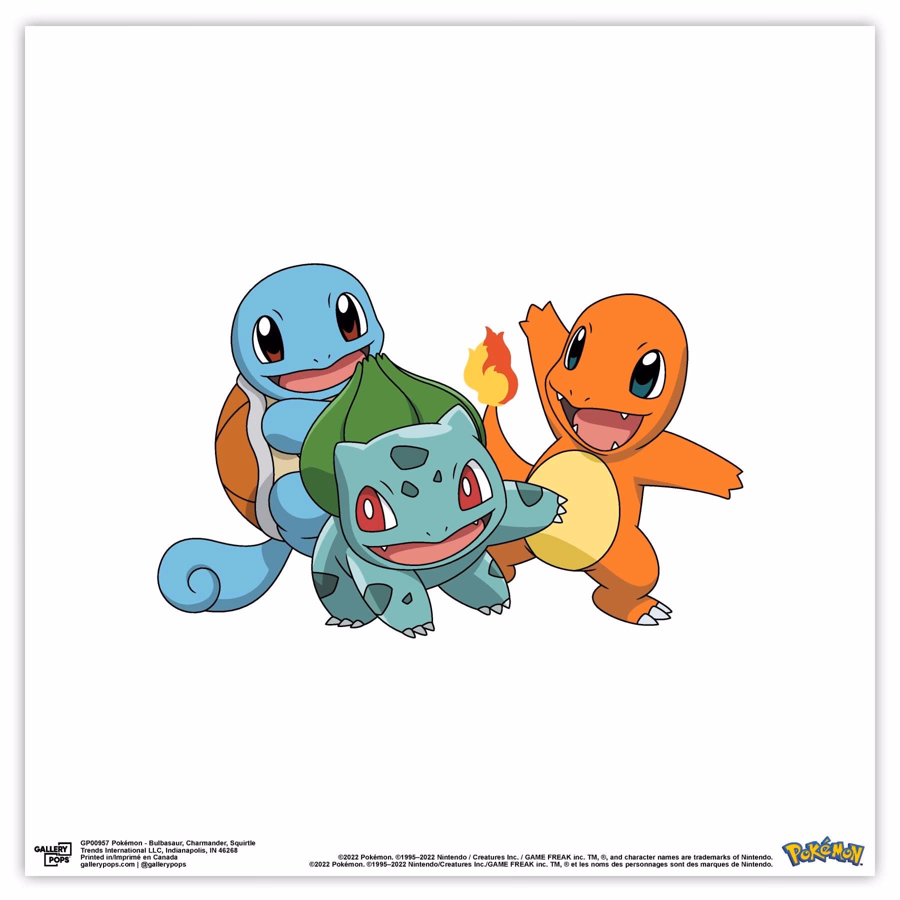¿Qué tipo de Pokémon es Charmander?