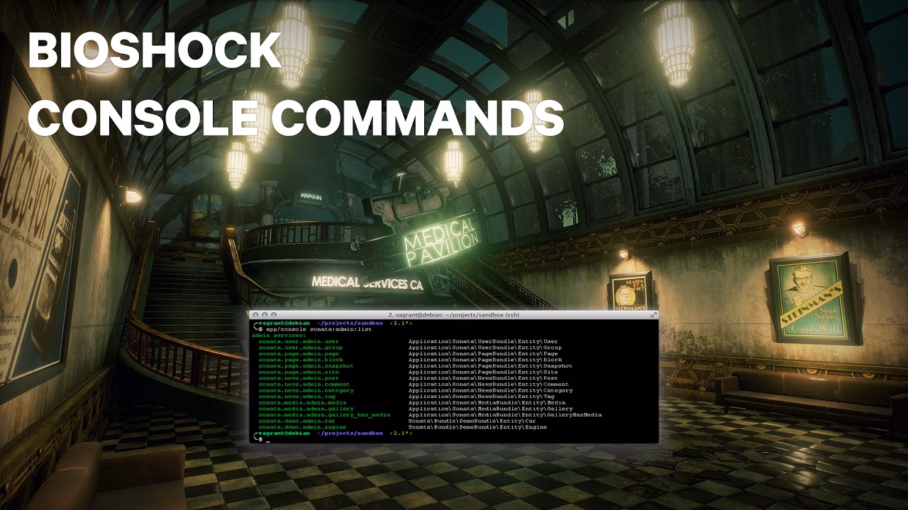 How do I get a BioShock cheat?