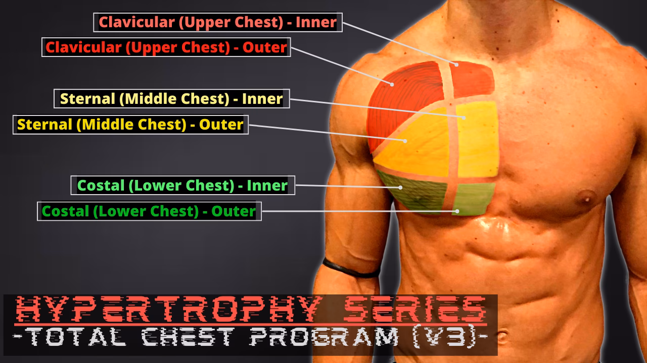 Does a chest machine work?