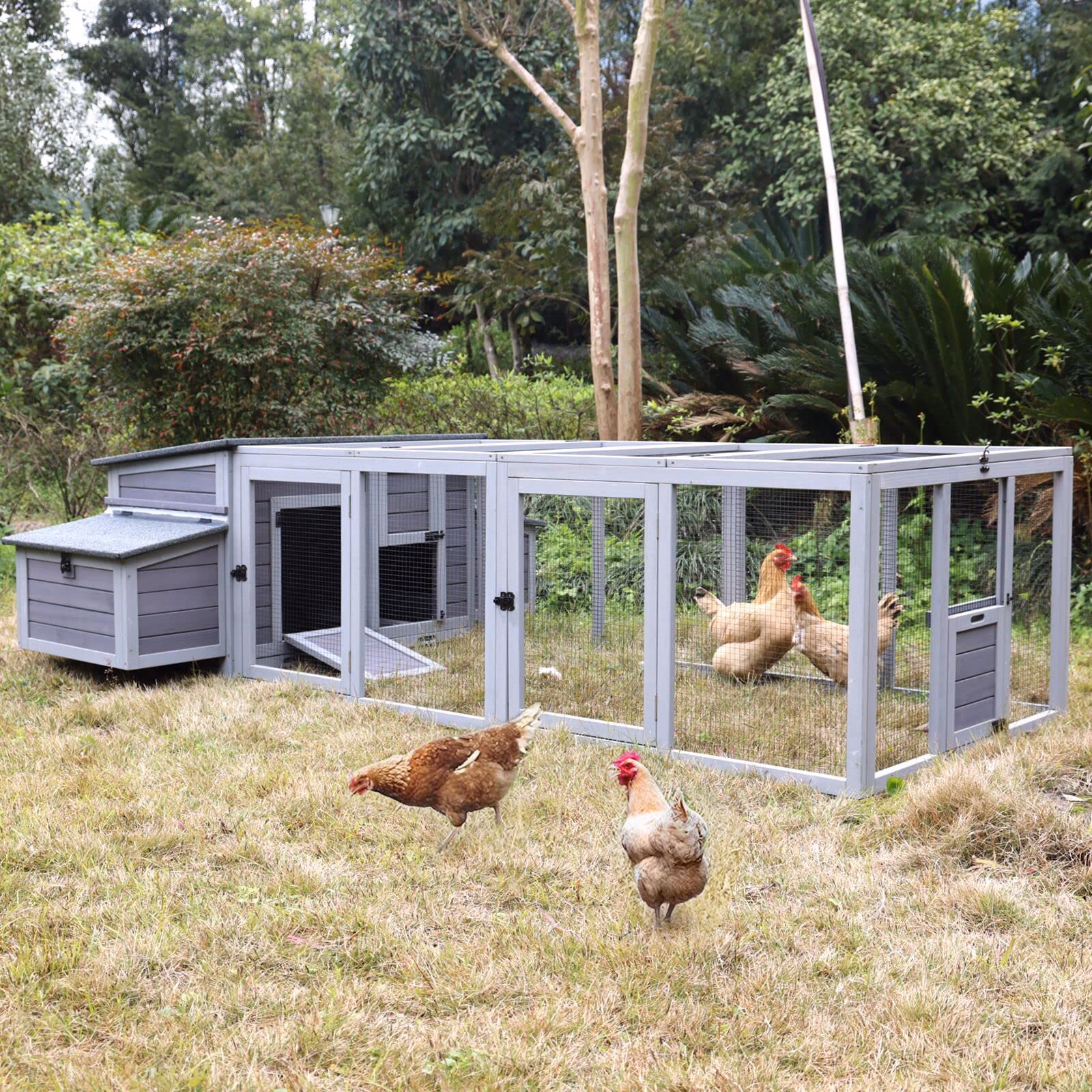 What is a chicken coop run?