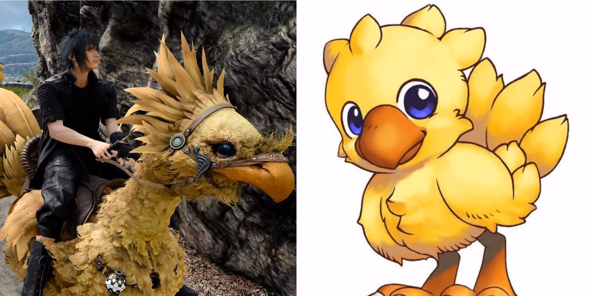 ¿Cuál es el chocobo más común?