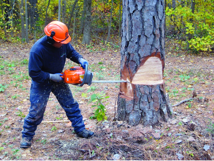 How does treecapitator work?