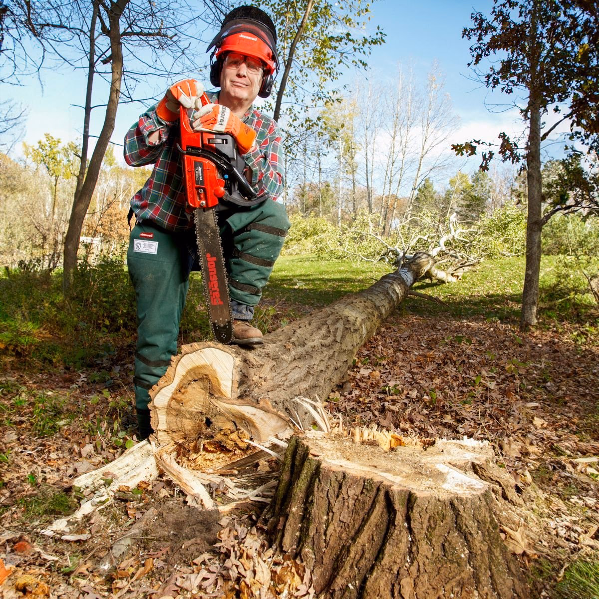 Does chopping a tree kill it?
