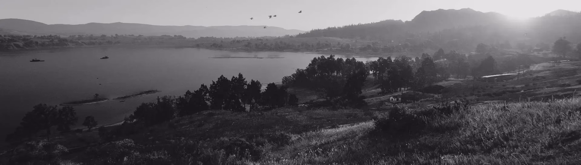 Why is reshade not working in online mode?