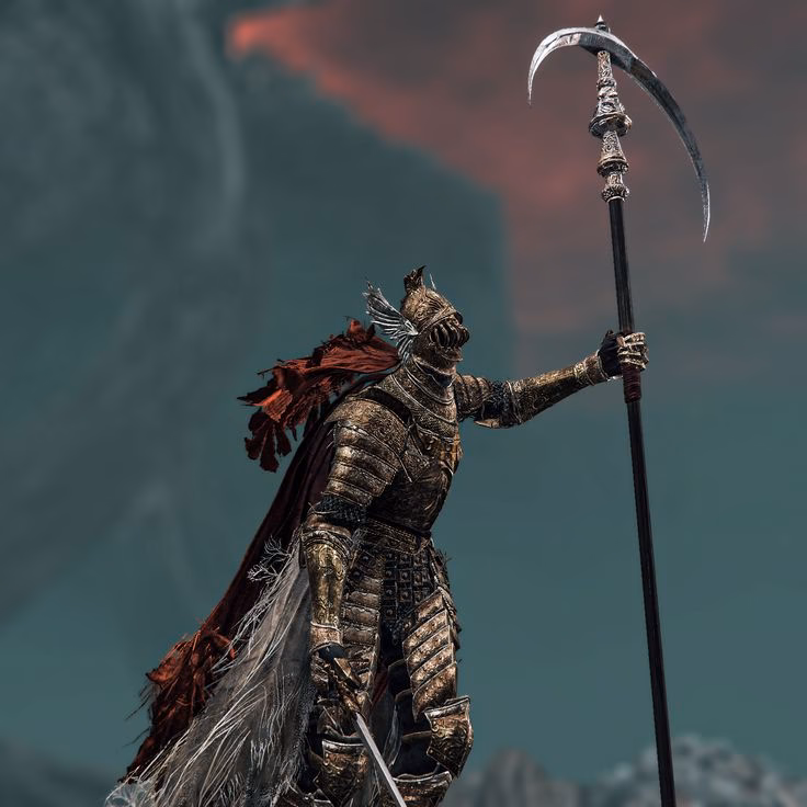 Where can I find a cleanrot Knight?