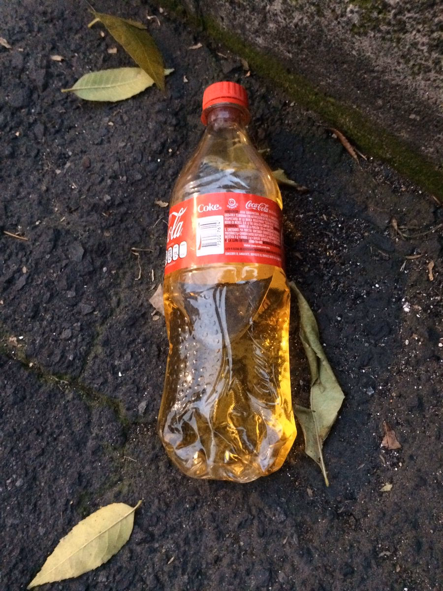 ¿Qué es la coca de piña?