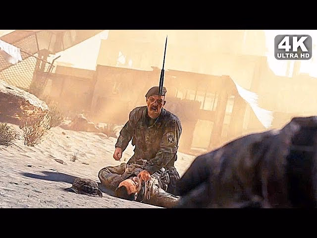 How did Shepherd kill Shepard?