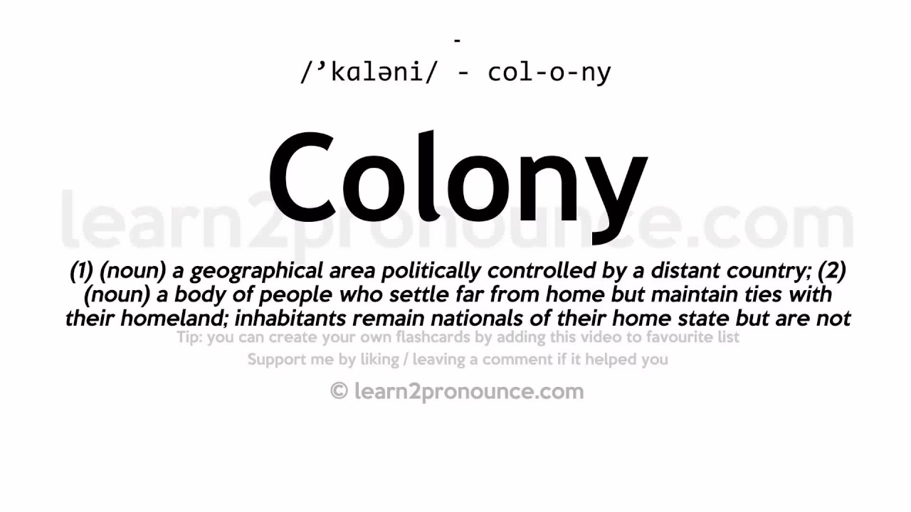 What is a synonym for colonist?