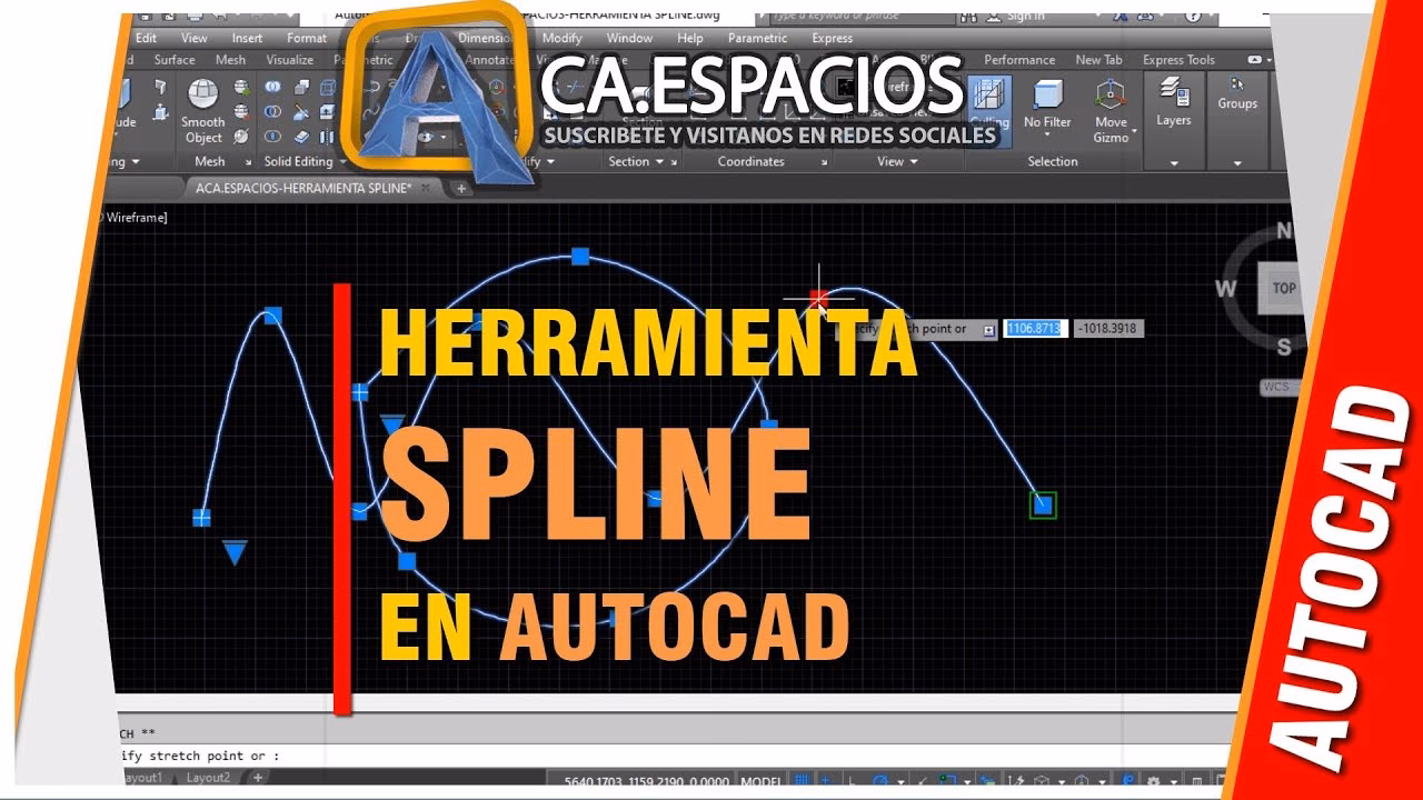 ¿Cómo crear una spline?