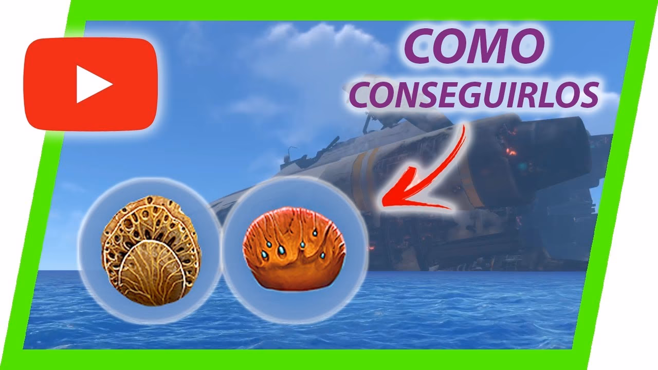 ¿Cómo se consigue la placa de coral?