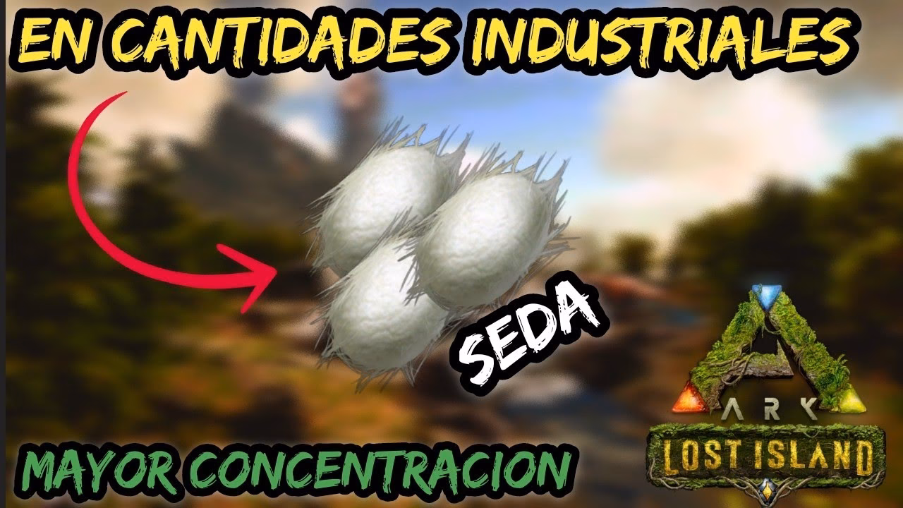 ¿Cómo ha sido la experiencia al empezar con Ark?
