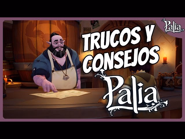 ¿Cuál es la medida de una palia?