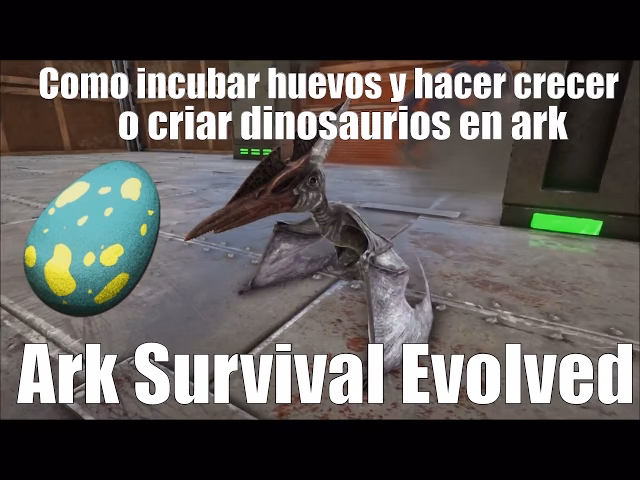 ¿Cómo obtener un huevo raro?