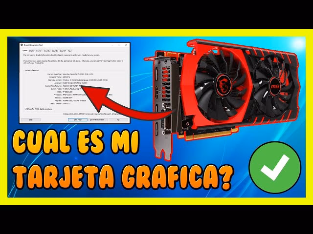 ¿Por qué es importante conocer el tipo de tarjeta gráfica de la computadora?