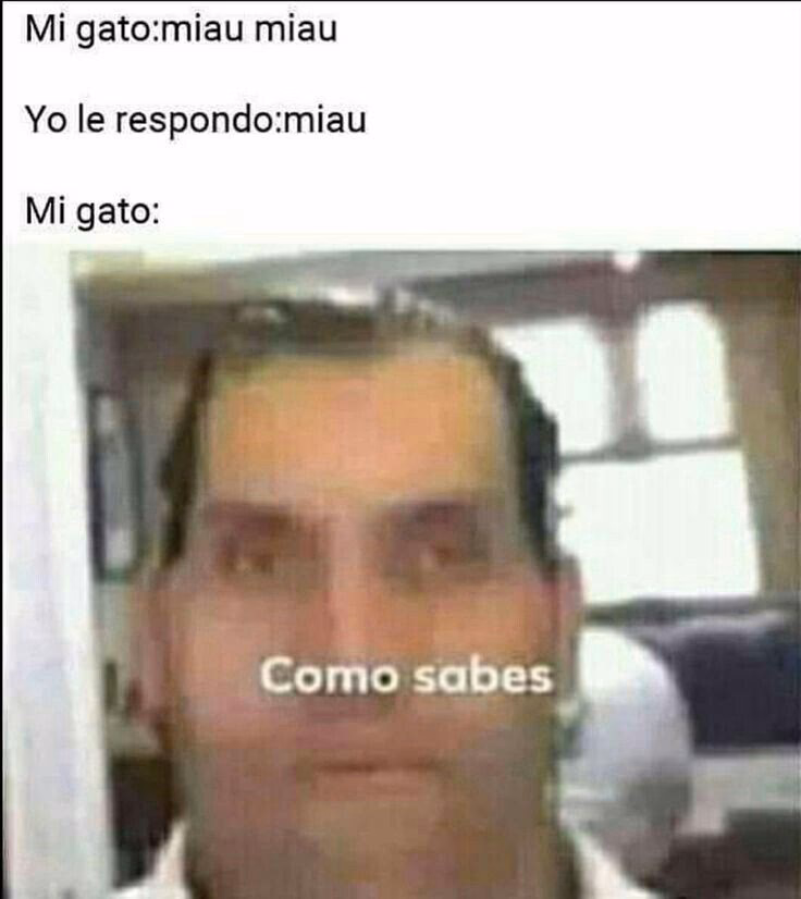 ¿Dónde puedo ver cómo sabes si?