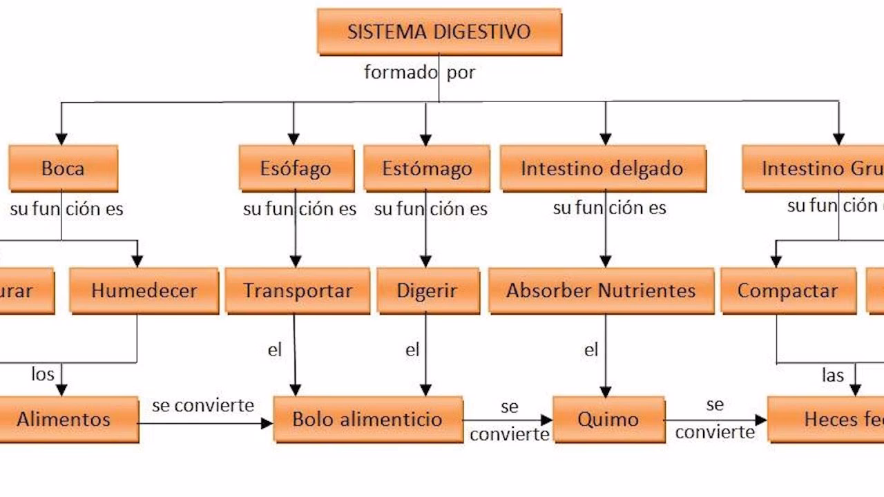 ¿Cómo se llama el mapa que tiene las llavecitas?