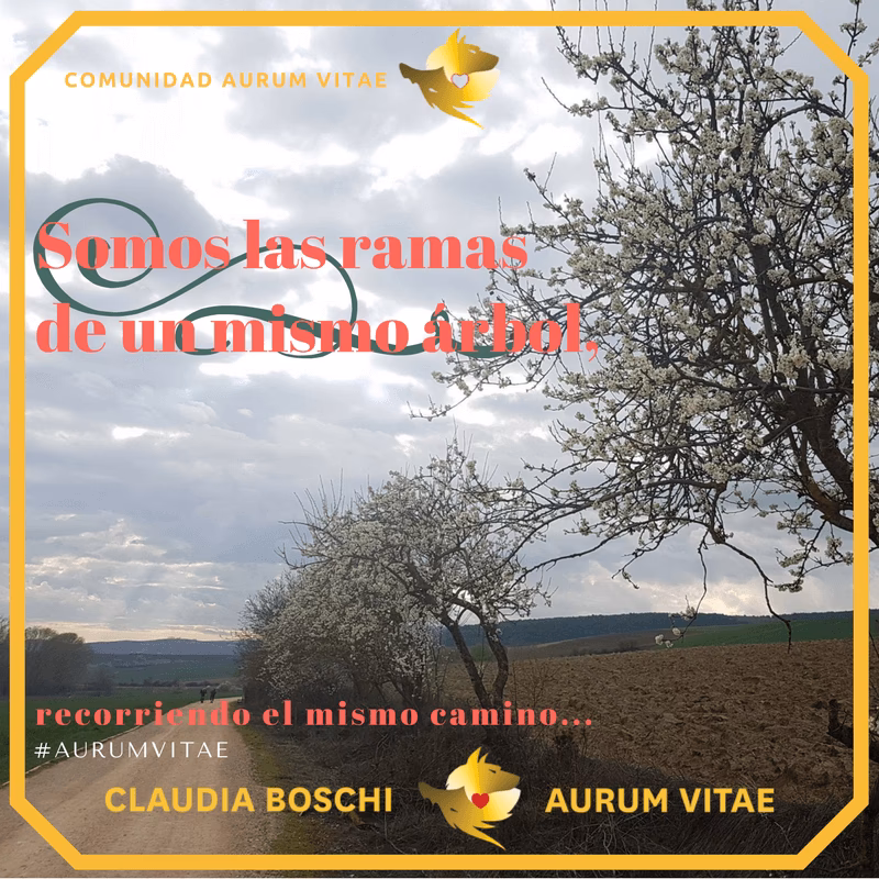 ¿Cuáles son los beneficios de la comunidad Aurum vitae?